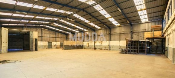 Lagerhaus in Albergaria a Velha, Portugal 960m², Nr. 218025 12