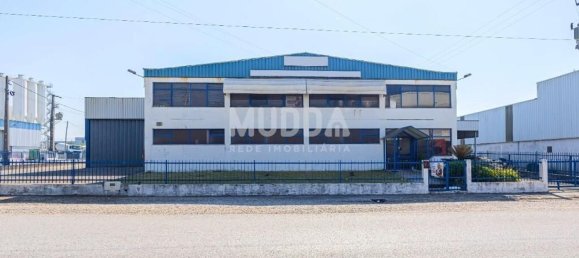 Lagerhaus in Albergaria a Velha, Portugal 960m², Nr. 218025 3