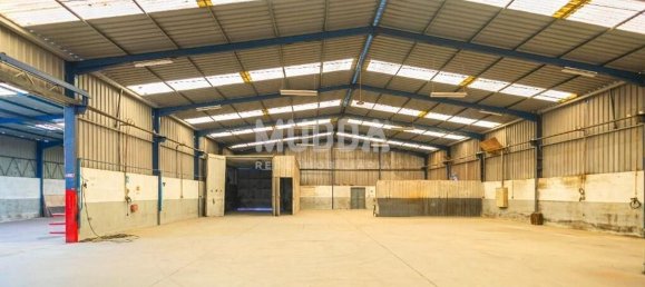 Lagerhaus in Albergaria a Velha, Portugal 960m², Nr. 218025 11