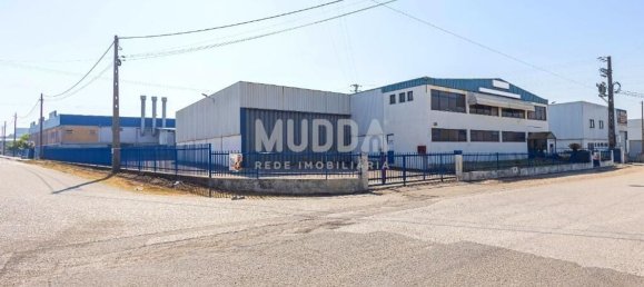 Lagerhaus in Albergaria a Velha, Portugal 960m², Nr. 218025 2