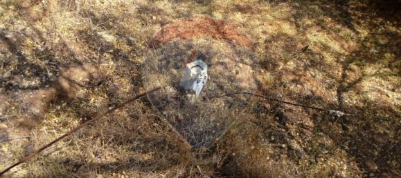  قطعة أرض في Loule, Portugal 1400متر مربع رقم 41068 9