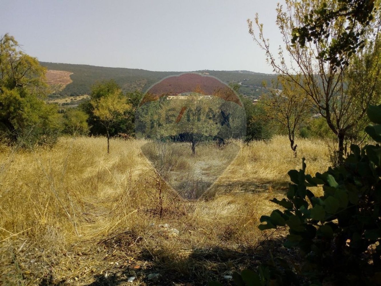  قطعة أرض في Loule, Portugal 1400متر مربع رقم 41068