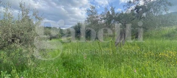 5550m² Land in Patti, Italy No. 176623 5