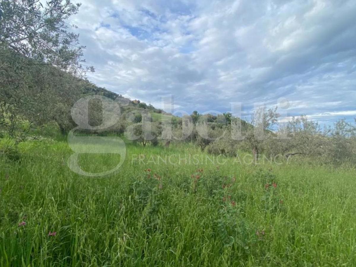 5550m² Land in Patti, Italy No. 176623