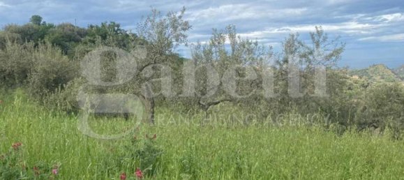 5550m² Land in Patti, Italy No. 176623 3