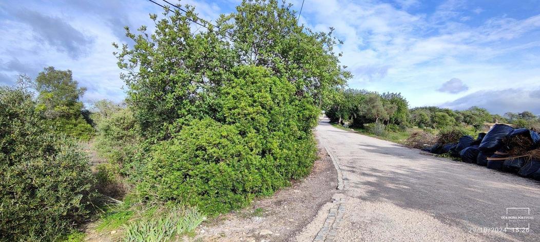  قطعة أرض في Loule, Portugal 3516متر مربع رقم 342205