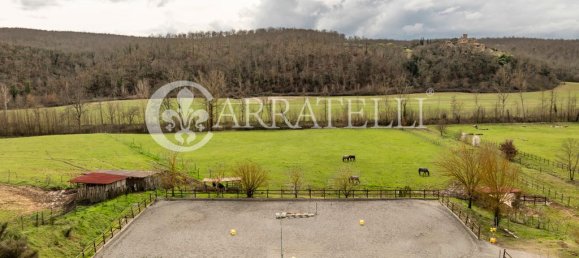 8 bedrooms House in Castelnuovo Berardenga, Italy No. 276842 31