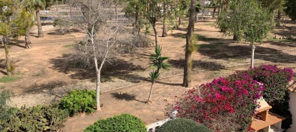 3 غرف نوم فيلا في Guardamar del Segura, Spain رقم 176426 22