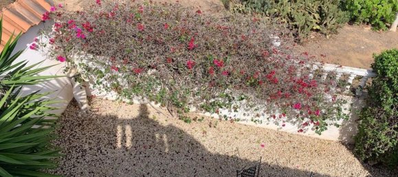 3 غرف نوم فيلا في Guardamar del Segura, Spain رقم 176426 25