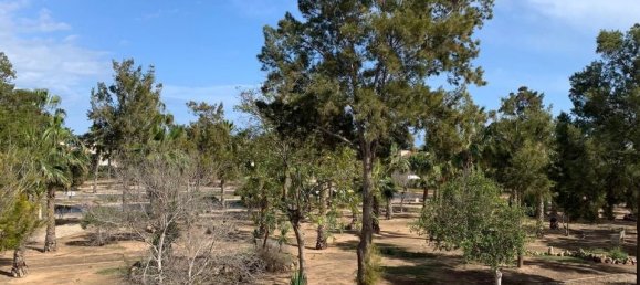 3 غرف نوم فيلا في Guardamar del Segura, Spain رقم 176426 23