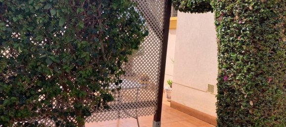 3 غرف نوم فيلا في Guardamar del Segura, Spain رقم 176426 45