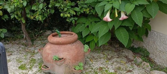 8-Zimmer Villa in Cervaro, Italy, Nr. 279455 38