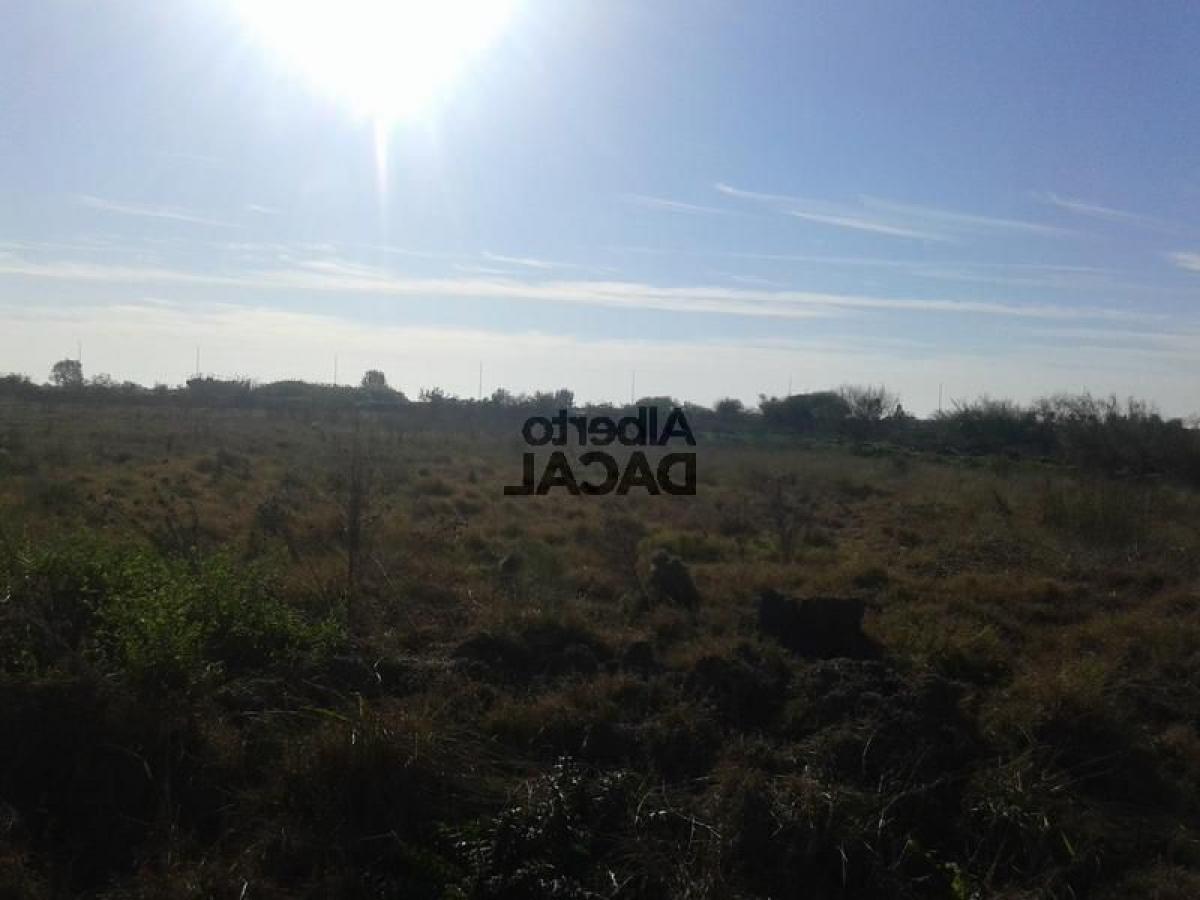  Land in Campo Creado, Argentina No. 31859