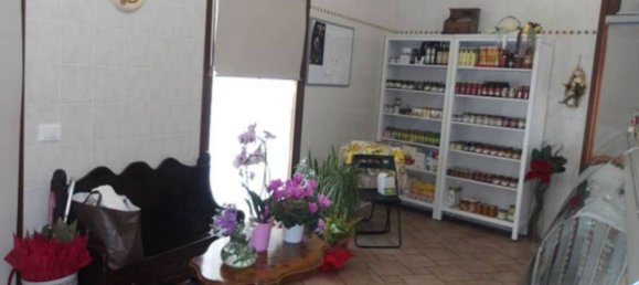 Gewerbliche Immobilie in Gorizia, Italy 58m², Nr. 273721 7