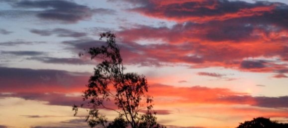 Estúdio em Tilaran, Costa Rica N.º 1091 5