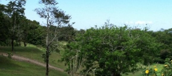 Estúdio em Tilaran, Costa Rica N.º 1091 3