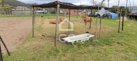 5 bedrooms House in Guimaraes, Portugal No. 160907 26