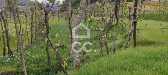 5 bedrooms House in Guimaraes, Portugal No. 160907 23