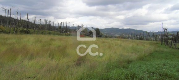 5 bedrooms House in Guimaraes, Portugal No. 160907 35