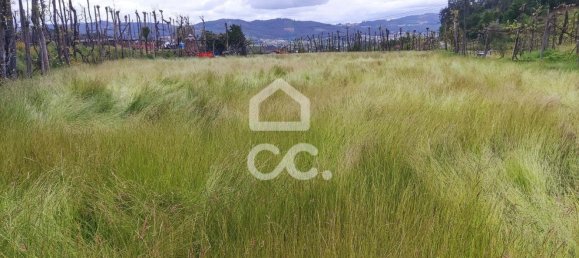 5 bedrooms House in Guimaraes, Portugal No. 160907 27