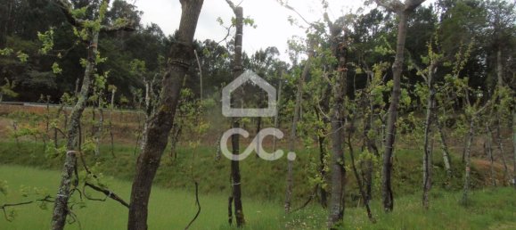 5 bedrooms House in Guimaraes, Portugal No. 160907 25