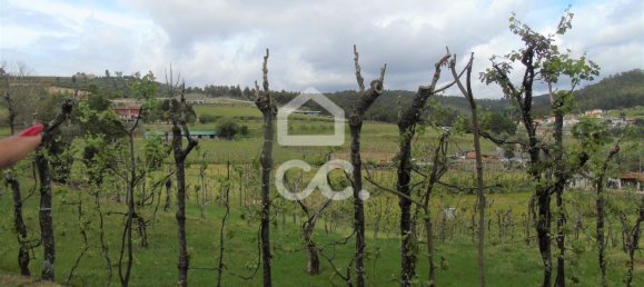 5 bedrooms House in Guimaraes, Portugal No. 160907 22