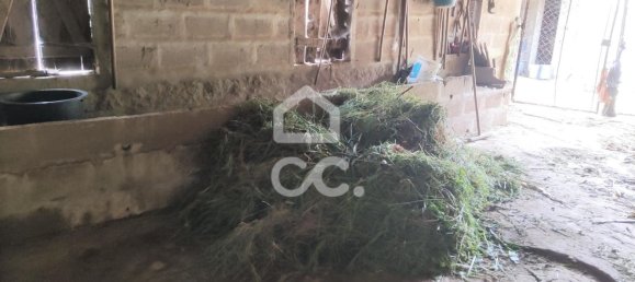 5 bedrooms House in Guimaraes, Portugal No. 160907 11