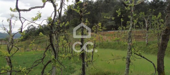 5 bedrooms House in Guimaraes, Portugal No. 160907 24