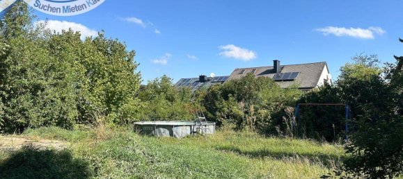 8 rooms House in Hollabrunn, Austria No. 236216 15