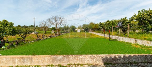 9 bedrooms House in Evora, Portugal No. 54379 14