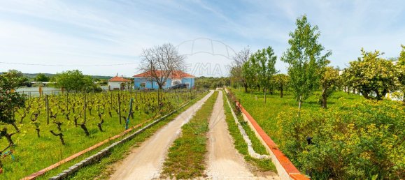 9 bedrooms House in Evora, Portugal No. 54379 43