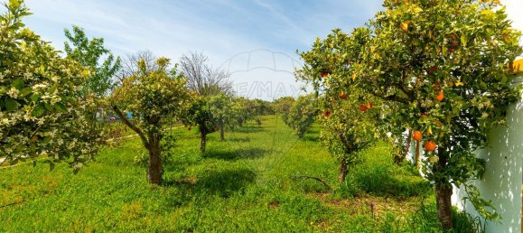 9 bedrooms House in Evora, Portugal No. 54379 42