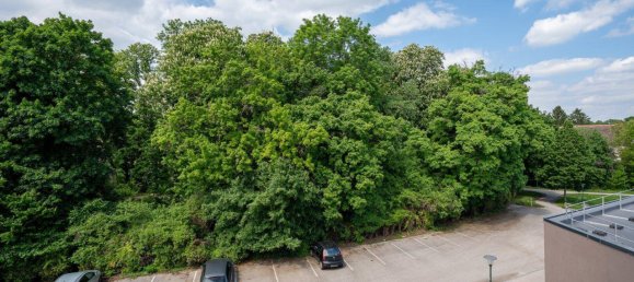 3 rooms Apartment in Pottendorf, Austria No. 173955 8