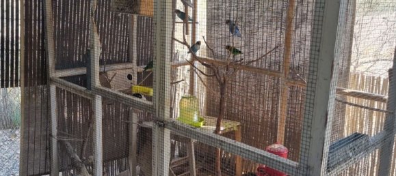 Casa T6 em Moralet, Spain N.º 27553 36