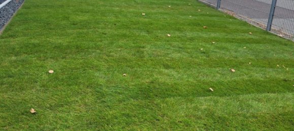 Lagerhaus in Havelland, Germany 3530m², Nr. 363725 10