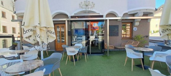 272m² Commercial property in Peuerbach, Austria No. 246887 5