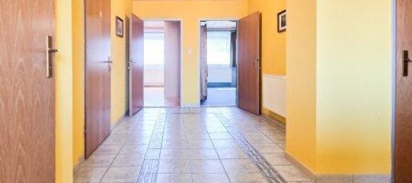 4-Zimmer Haus in Amaliendorf-Aalfang, Austria, Nr. 192488 12