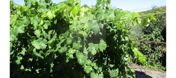 3 bedrooms House in Almaceda, Portugal No. 163326 45