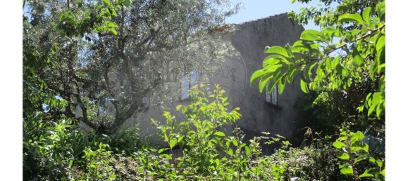 3 bedrooms House in Almaceda, Portugal No. 163326 43