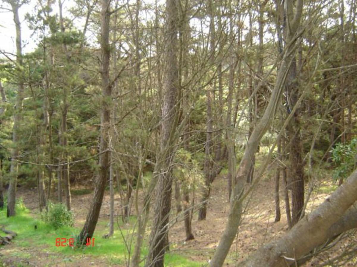  Land in Mar del Plata, Argentina No. 112674