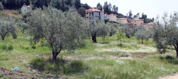 20171m² Hotel in Chalkidiki, Greece No. 8155 4