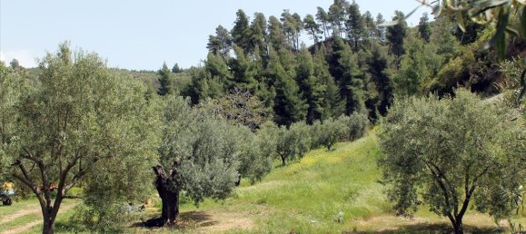 20171m² Hotel in Chalkidiki, Greece No. 8155 2