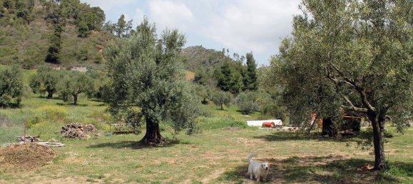 20171m² Hotel in Chalkidiki, Greece No. 8155 7