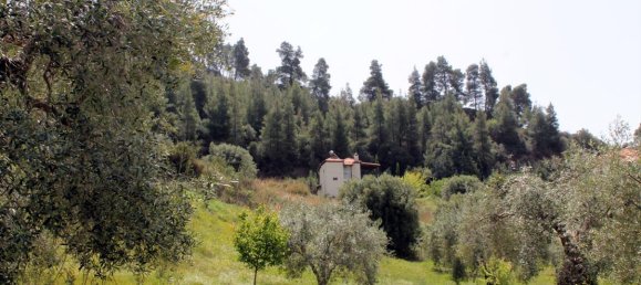 20171m² Hotel in Chalkidiki, Greece No. 8155 3