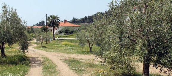  فندق في Chalkidiki, Greece 20171متر مربع رقم 8155 8