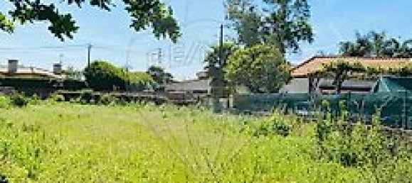 2 غرف نوم منزل في Loureiro, Portugal رقم 30593 3