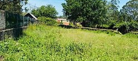 2 غرف نوم منزل في Loureiro, Portugal رقم 30593 7