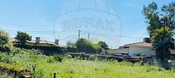 2 غرف نوم منزل في Loureiro, Portugal رقم 30593 12