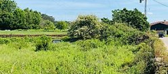 2 غرف نوم منزل في Loureiro, Portugal رقم 30593 13