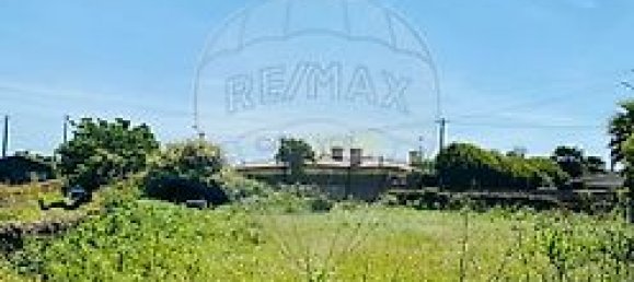 2 غرف نوم منزل في Loureiro, Portugal رقم 30593 5